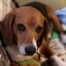 Profile Picture of Christy Poston (@Christy051972) on Pinterest