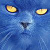 Profile Picture of Julien (@Topoki) on Flickr