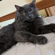 Profile Picture of Alice Mullins (@Aliceplays7) on Youtube