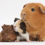 Holley Douglas_Moses Rodriguez - Instagram Profile Picture of Holley Douglas_Moses Rodriguez (@holley.rodriguez25) on Instagram