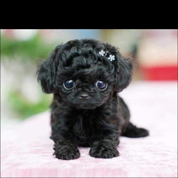 Profile Picture of Yaneisy Jorrin (@yjorrin) on Poshmark