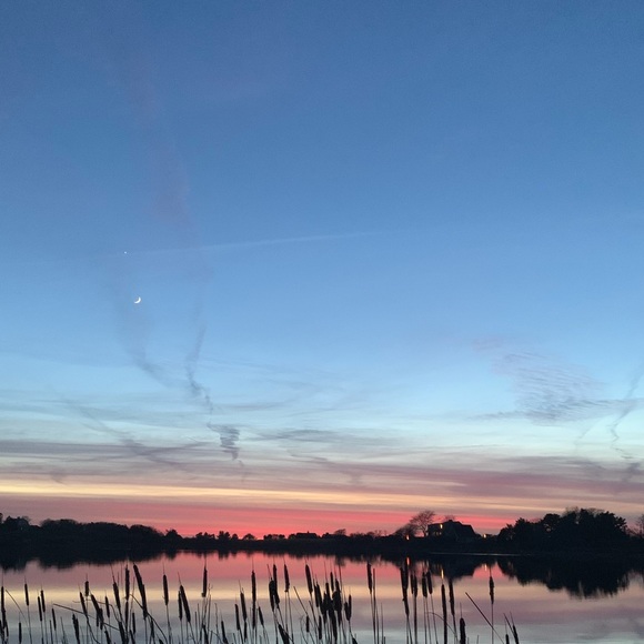 Profile Picture of Ava Brimicombe (@avalbrim) on Poshmark