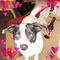 Profile Picture of Ivan Hannah (@ivan.hannah.73) on Facebook