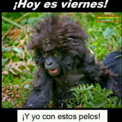 Profile Picture of Cesar Serrano (@cesarserrano830) on Twitter
