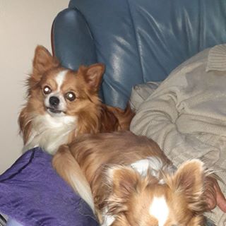 Eileen Applegate - Facebook Profile Picture of Eileen Applegate (@Eileen-Applegate) on Facebook