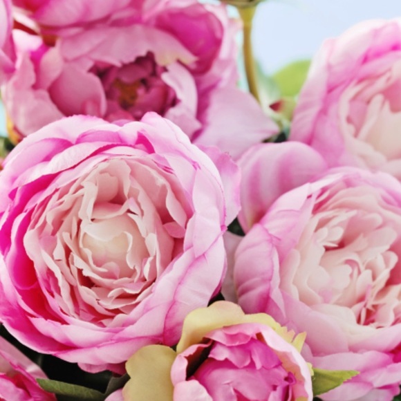 Profile Picture of Tina Shuman (@tinawrightsman) on Poshmark