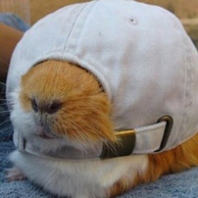 Profile Picture of Joyce Ritter (@jritter92) on Twitter