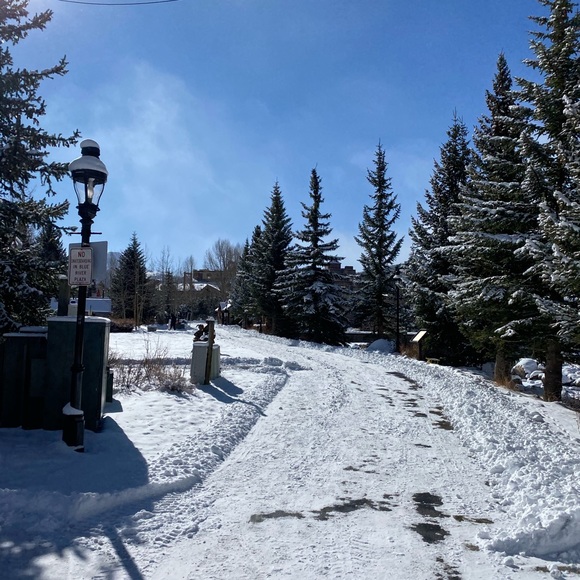 Profile Picture of Camila Francino (@cami87) on Poshmark