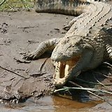 Profile Picture of Gabriel Ray Toney (@LILGabel) on Twitter