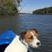 Profile Picture of Scott Lager (@escott6253) on Pinterest