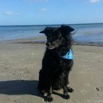 Profile Picture of sylviahauck (@sylviahauck4) on Instagram