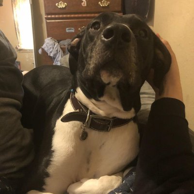 Profile Picture of Timothy Atwell (@TimothyAtwell5) on Twitter