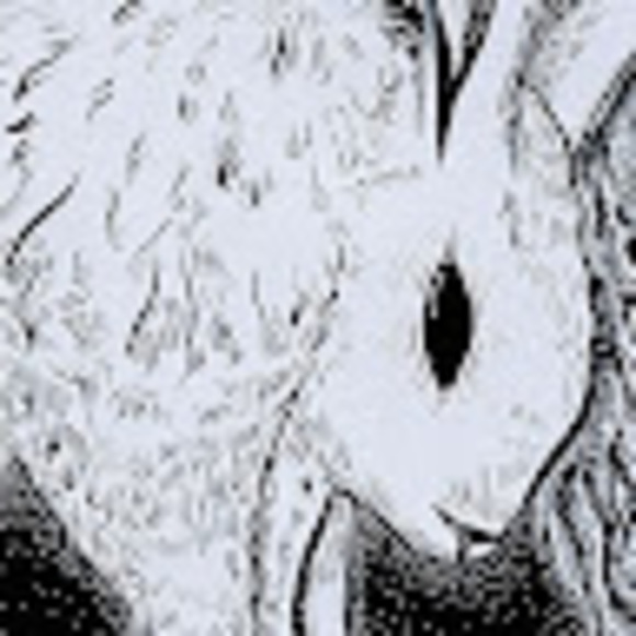 Profile Picture of Ryann Mizzoni (@miubot) on Poshmark