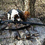 Profile Picture of Seth Price (@sprice_2015_) on Instagram