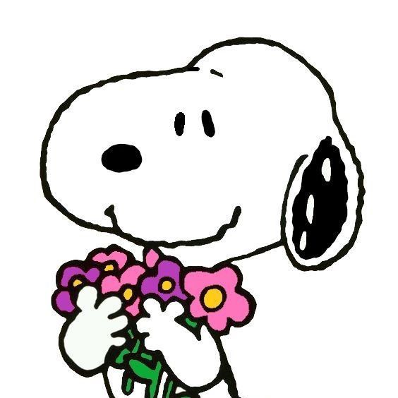 Profile Picture of Iris Blake (@purpleirisflowers) on Tiktok