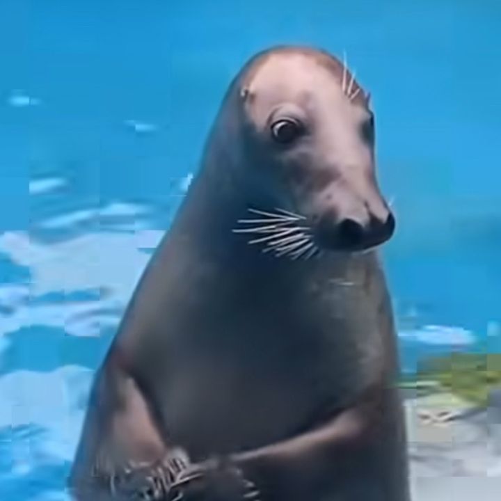 Profile Picture of Gutchell (@gutch223) on Tiktok