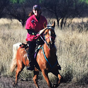 Profile Picture of Carol Chase (@CarolKolmerChase) on Youtube