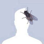 Profile Picture of Andrew Hinman (@andrewhinman9789) on Youtube