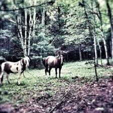 Profile Picture of Stephen Dickens (@6cab8c492cdd4b3) on Twitter