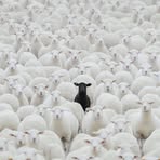 Profile Picture of Jose Bernat (@jose.bernat.3152) on Facebook