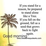 Profile Picture of Biswarup Mukherjee (@biswarup344) on Instagram