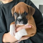 Profile Picture of Reiner Heinz Arnold Bartels (@reiner.h.barth) on Facebook