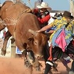 Jim Swint - Instagram Profile Picture of Jim Swint (@jimswint85) on Instagram