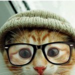 Profile Picture of Steven Ignatowicz (@steve_is_amazing) on Instagram