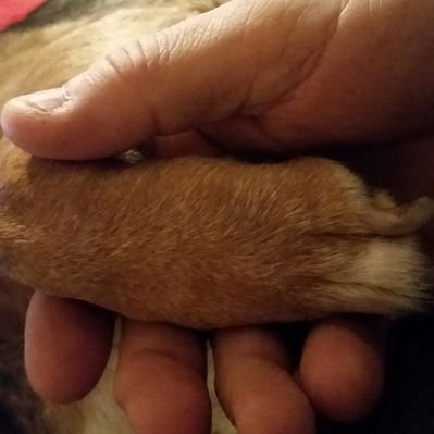 Mike Hinch - Twitter Profile Picture of Mike Hinch (@HinchMike) on Twitter