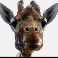 Profile Picture of Jose Granillo (@jose-granillo) on Quora