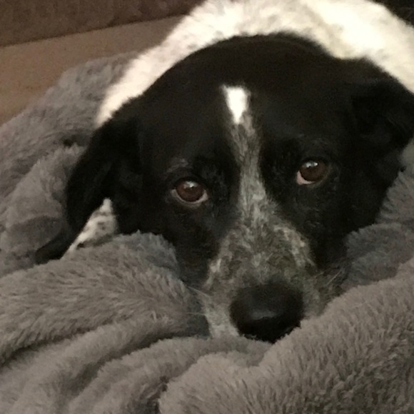 Profile Picture of Robin Romanus (@rromanus70) on Poshmark