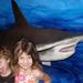 Profile Picture of Kara Gibbs (@kgibbsod) on Pinterest