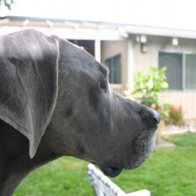 Profile Picture of Bob Wayman (@onlywayman) on Twitter