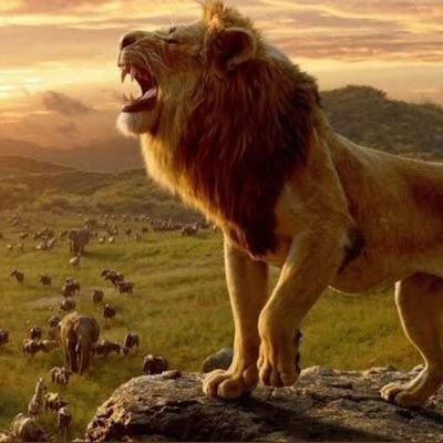 SANDEEP YADAV - Twitter Profile Picture of SANDEEP YADAV (@SANDEEP33023680) on Twitter