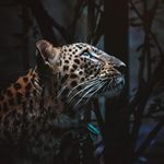 Profile Picture of Aline Boucher Le Texier (@ablt_243) on Instagram