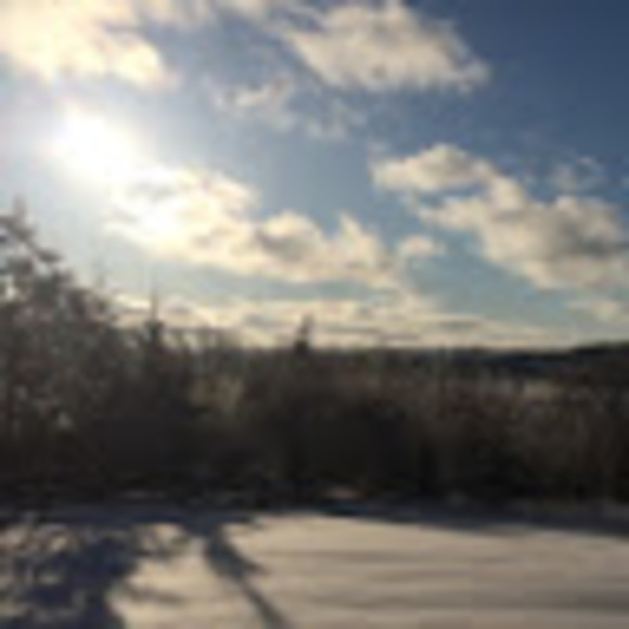 Janine Priller - Poshmark Profile Picture of Janine Priller (@jollyj9) on Poshmark