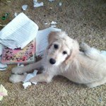 Profile Picture of alicia_autry_13 (@alicia_autry_13) on Instagram