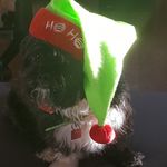 Profile Picture of Michael Zwicker (@michael.zwicker.14) on Instagram