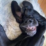 Profile Picture of Michelle Conroy (@michelleconroy46) on Instagram