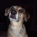 Profile Picture of James Pigg (@james.pigg.902) on Facebook