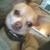 Profile Picture of Harold Mock (@profile.php) on Facebook