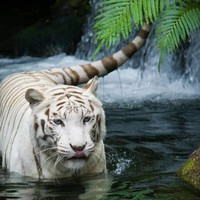 Profile Picture of Mauro Lara (@mauro-lara-2) on Quora