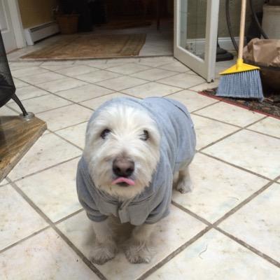 Profile Picture of Stephen Boudreault (@Locksmyths) on Twitter