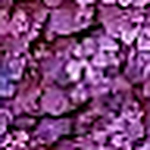 Profile Picture of David Molnar (@ratzikratzi) on Flickr