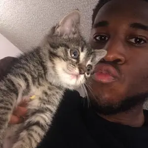 Profile Picture of Mere Mere jr.&rsquo;s DaD🐢 (@meremerebaba) on Tiktok