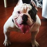 Profile Picture of MR.SISCO (@mr.sisco_ron_jeremy_the_great_) on Instagram