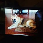 Profile Picture of jerry dutton (@jerry_dutton) on Instagram