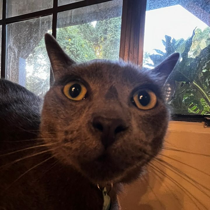 Profile Picture of Matt (@matthew.arce) on Tiktok