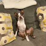 Profile Picture of Adam Lenowicz (@aleno82) on Instagram