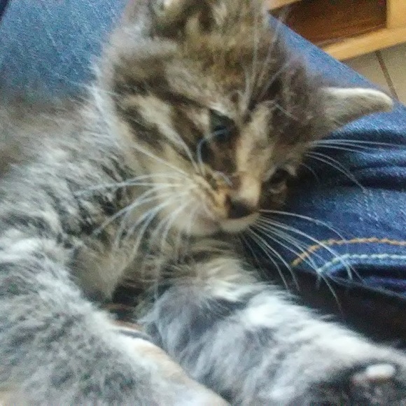 Profile Picture of Bree Slosson (@bree_slosson821) on Poshmark